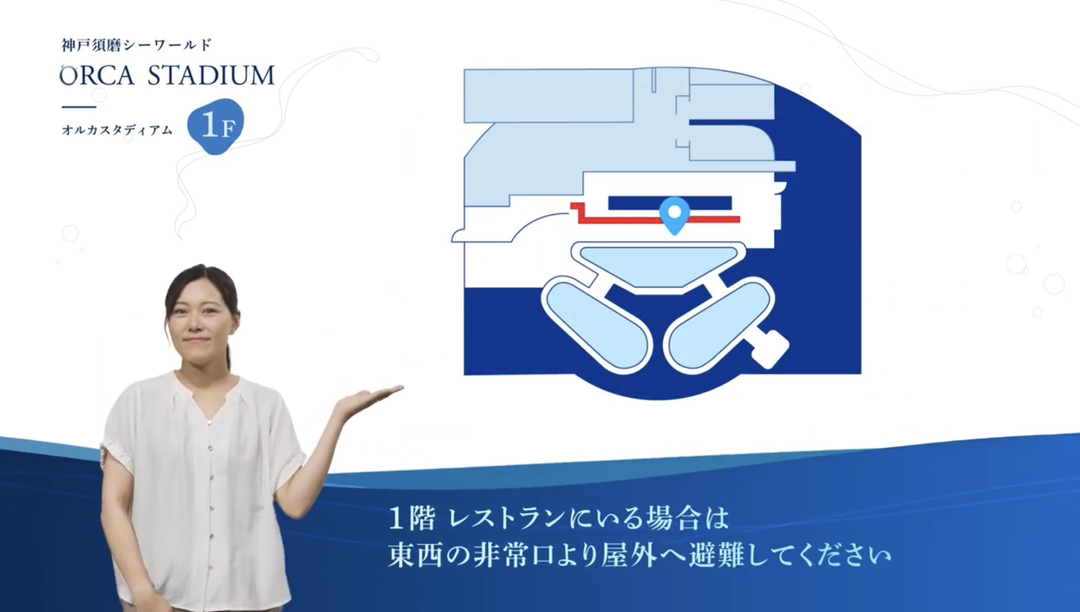 [出演] 神戸須磨シーワールド『避難経路のご案内』シュワQ動画
